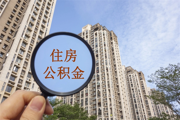 谷城个人公积金去哪儿取（住房公积金个人到哪里提取）